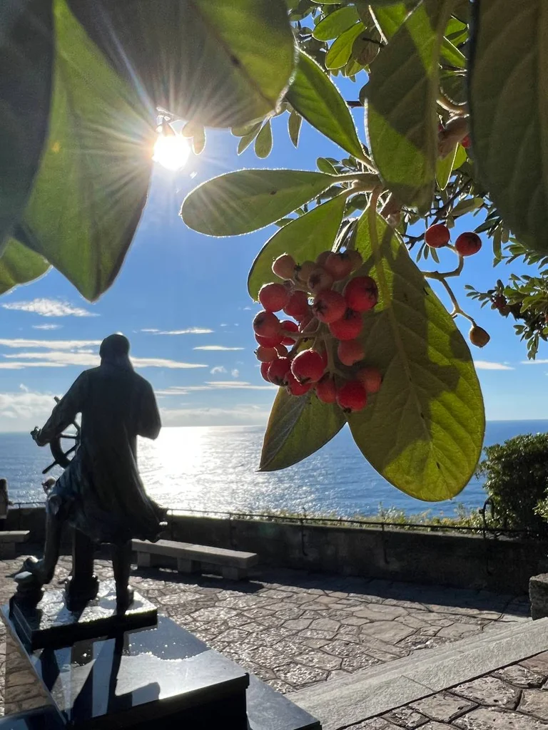 Mediterranean views from the gardens of Monaco