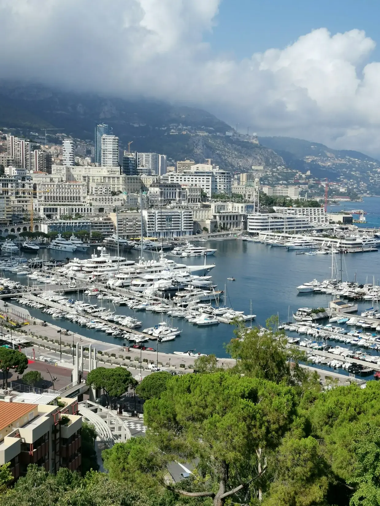 A harbor filled with lots of boats next to a city