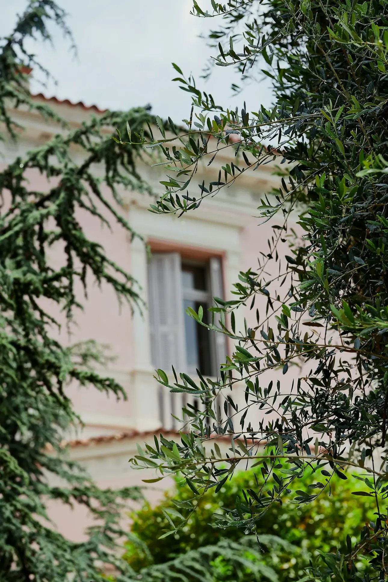 Villa Ephrussi façade detail