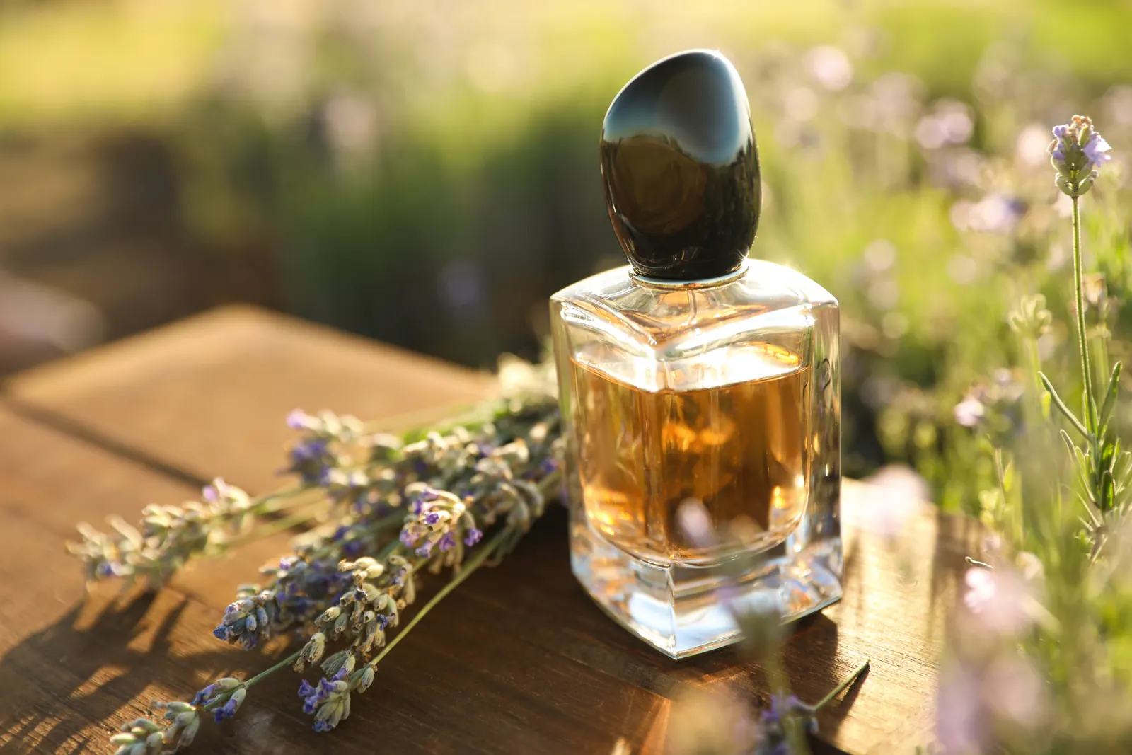 Perfume francés con lavanda en Grasse