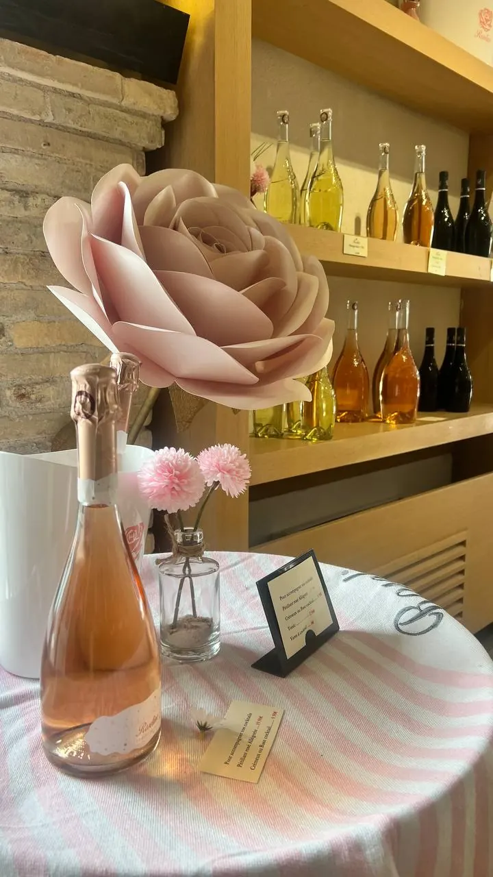 Cata de vino rosado en Provenza