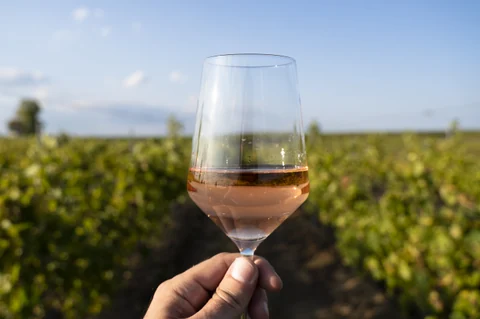 A glass of rosé wine in front of vineyard rows